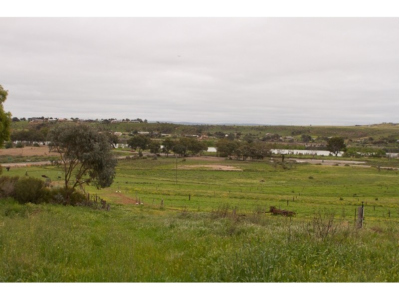 Lot 224 Burdett and Bowhill Road, Mannum SA 5238