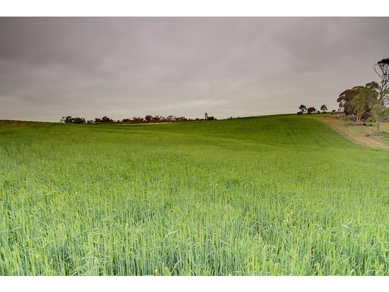 Lot 224 Burdett and Bowhill Road, Mannum SA 5238
