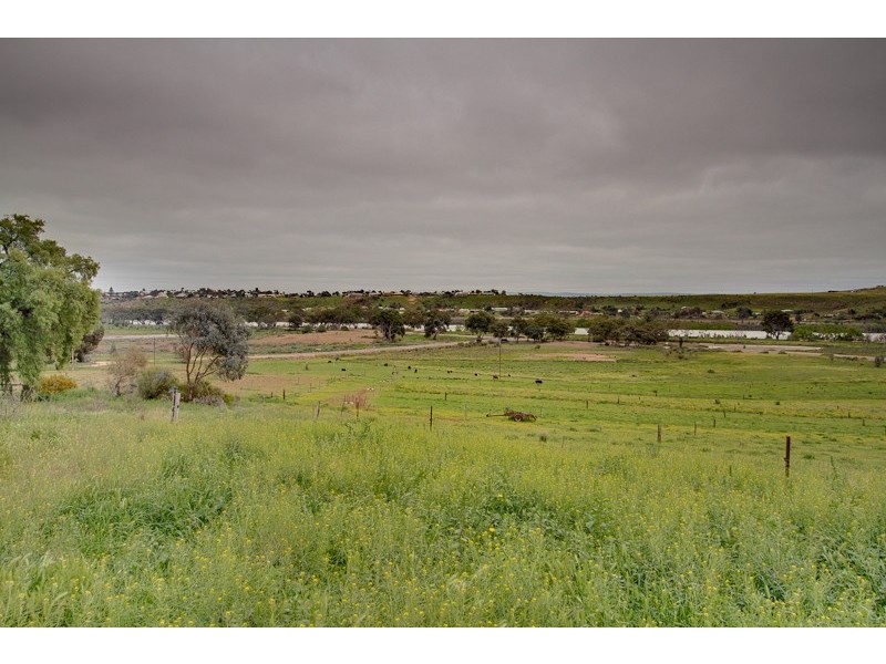 Lot 224 Burdett and Bowhill Road, Mannum SA 5238
