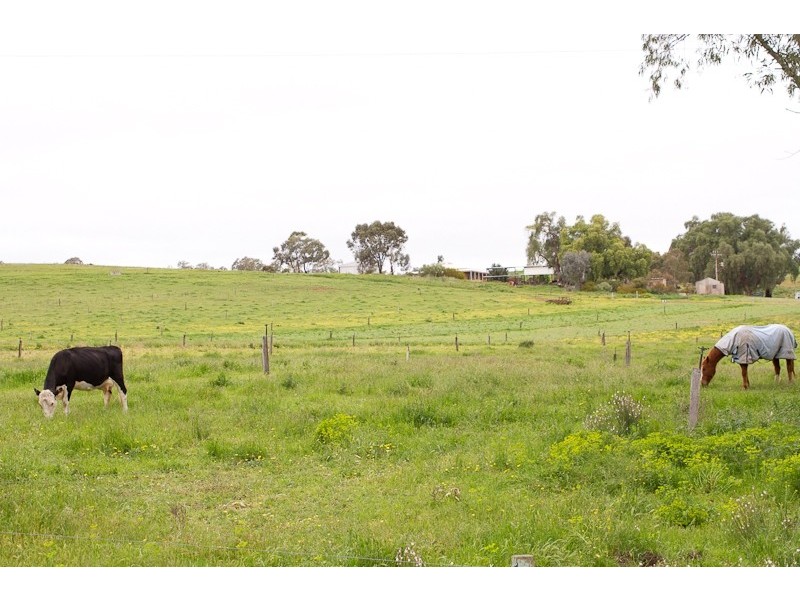 Lot 224 Burdett and Bowhill Road, Mannum SA 5238