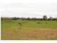 Lot 224 Burdett and Bowhill Road, Mannum SA 5238