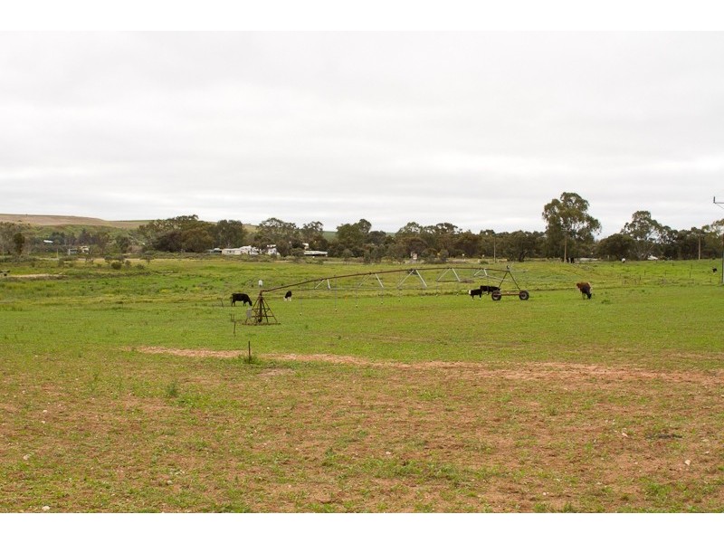 Lot 224 Burdett and Bowhill Road, Mannum SA 5238