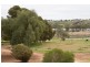 Lot 224 Burdett and Bowhill Road, Mannum SA 5238
