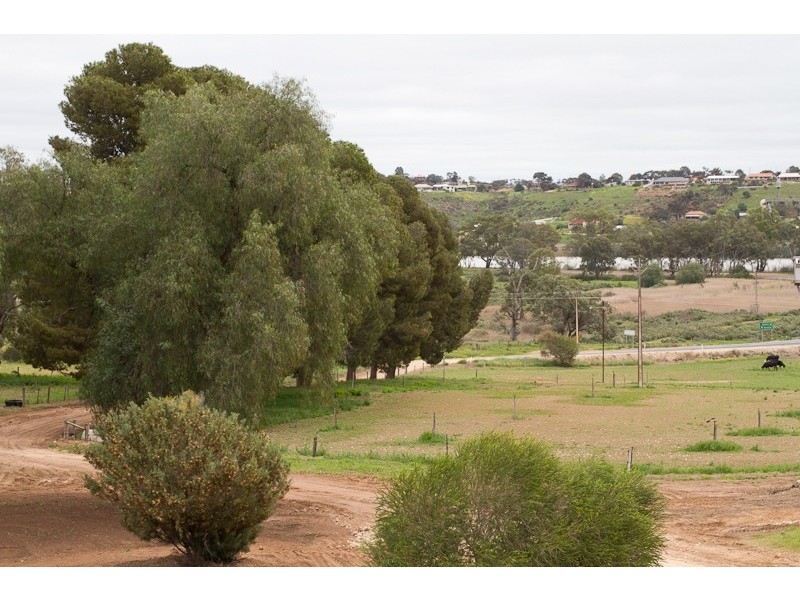 Lot 224 Burdett and Bowhill Road, Mannum SA 5238