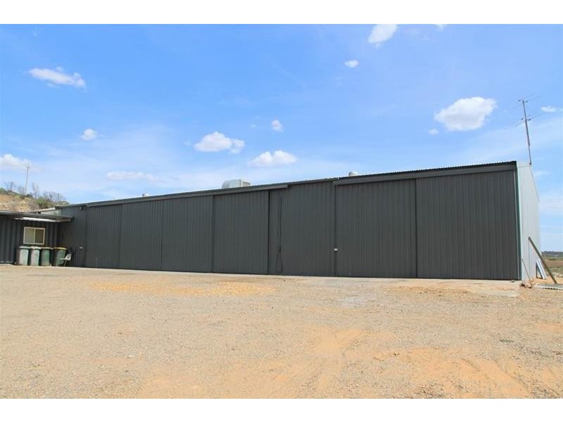 509 Greenshields Road, Mannum SA 5238