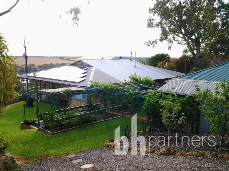 199 Cliff View Drive, Walker Flat SA 5238