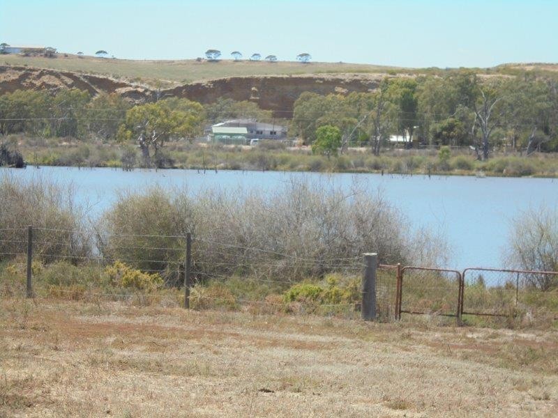 59 Mallee Road, Walker Flat SA 5238