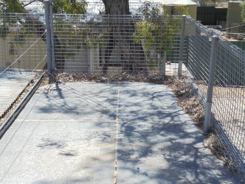 59 Mallee Road, Walker Flat SA 5238