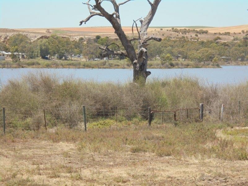 59 Mallee Road, Walker Flat SA 5238