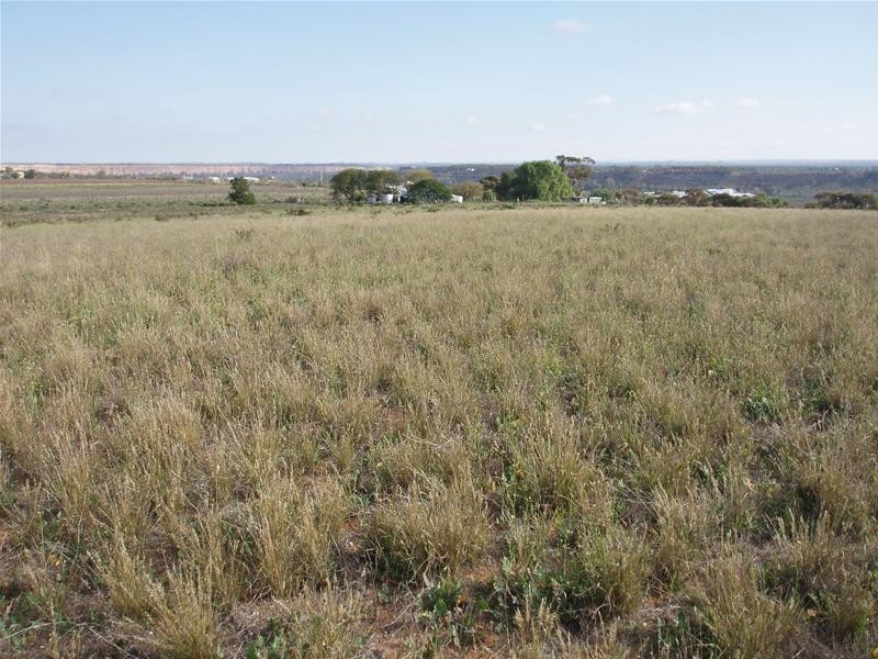 Pt Section 184 Bakara Road, Nildottie SA 5238