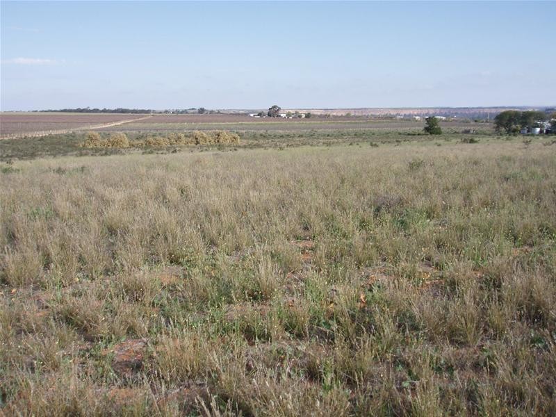 Pt Section 184 Bakara Road, Nildottie SA 5238