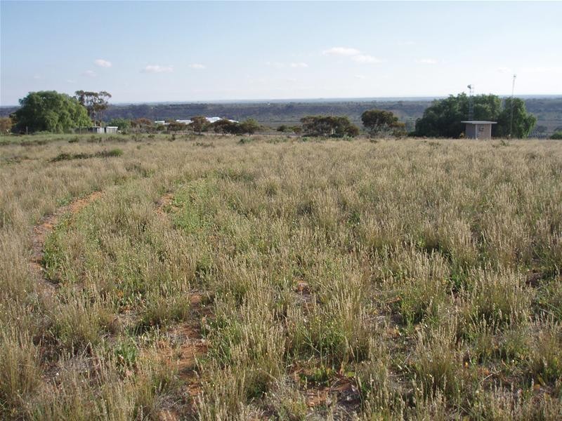 Pt Section 184 Bakara Road, Nildottie SA 5238