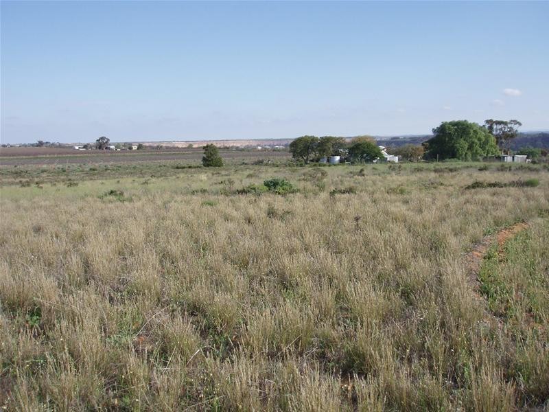 Pt Section 184 Bakara Road, Nildottie SA 5238