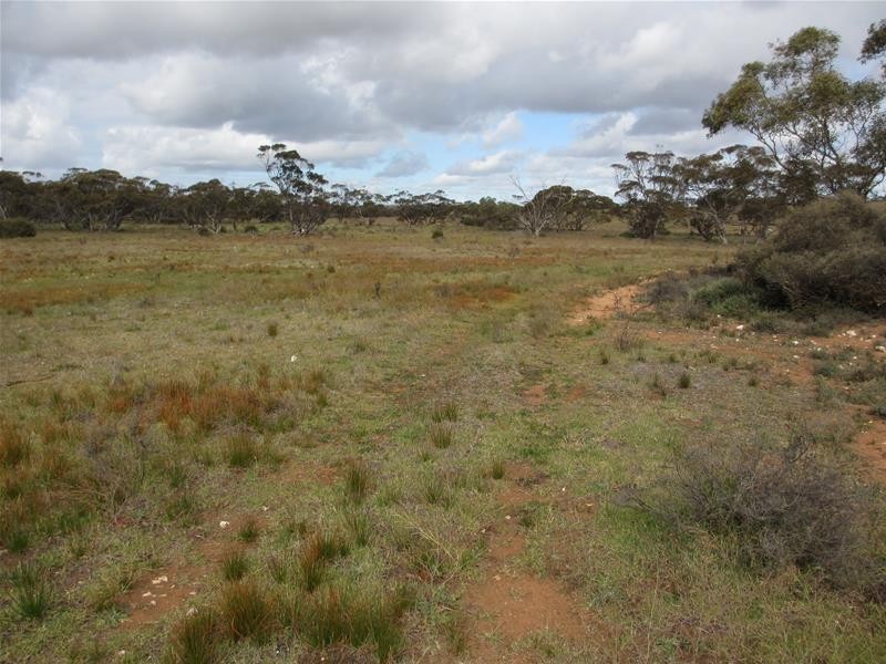 Section 179 Murraylands Road, Walker Flat SA 5238
