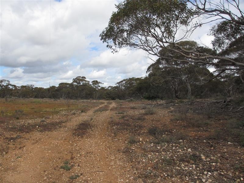 Section 179 Murraylands Road, Walker Flat SA 5238