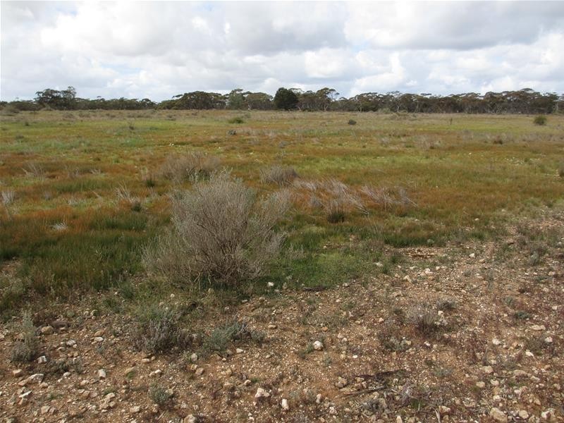 Section 179 Murraylands Road, Walker Flat SA 5238