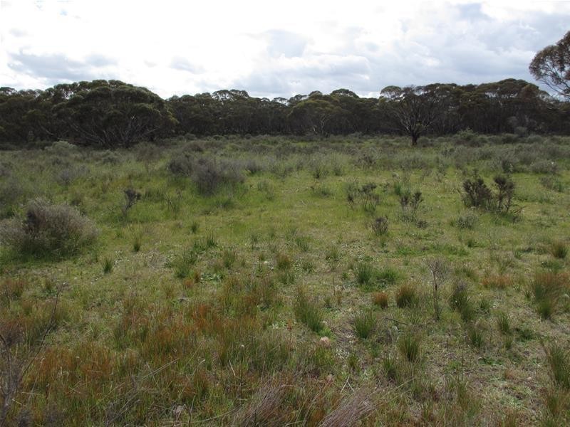 Section 179 Murraylands Road, Walker Flat SA 5238