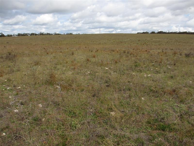 Section 179 Murraylands Road, Walker Flat SA 5238