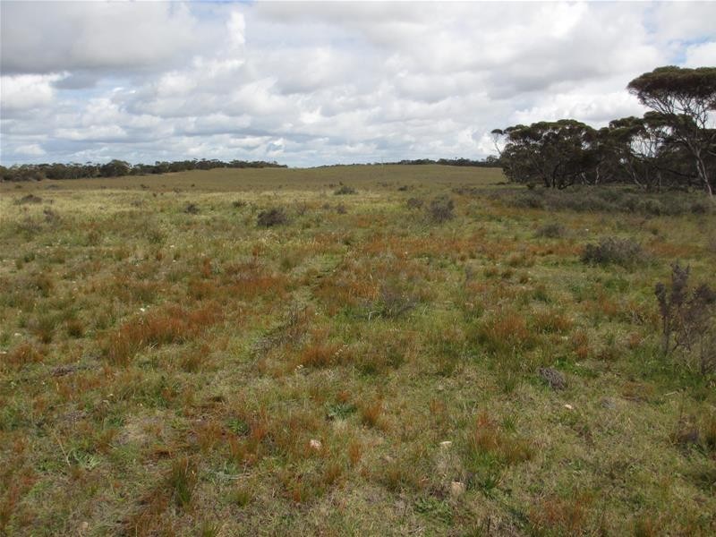 Section 179 Murraylands Road, Walker Flat SA 5238