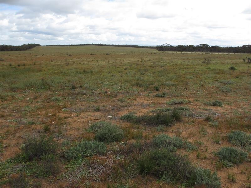 Section 179 Murraylands Road, Walker Flat SA 5238