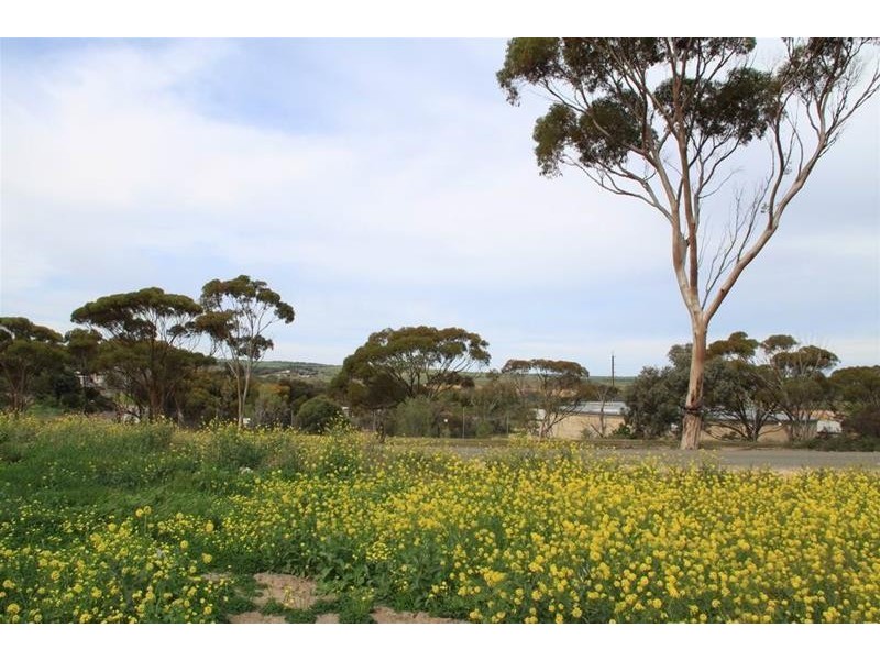 18B King George Street, Mannum SA 5238