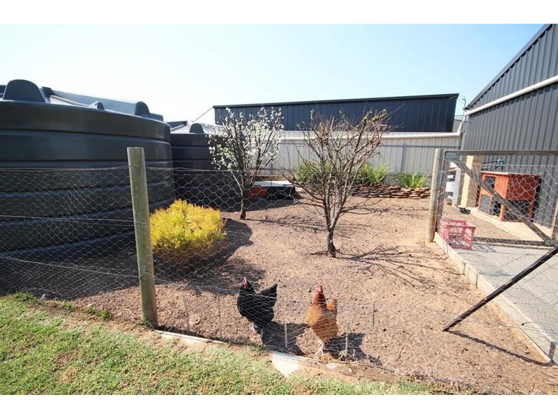 43 Male Road, Mannum SA 5238