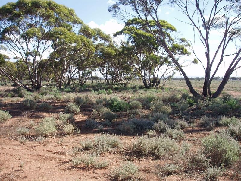 Lot 4 Sturt Highway, Annadale SA 5356