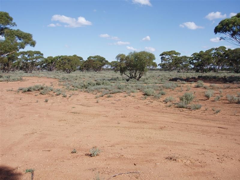 Lot 4 Sturt Highway, Annadale SA 5356