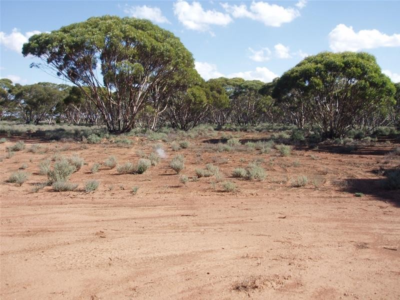 Lot 4 Sturt Highway, Annadale SA 5356