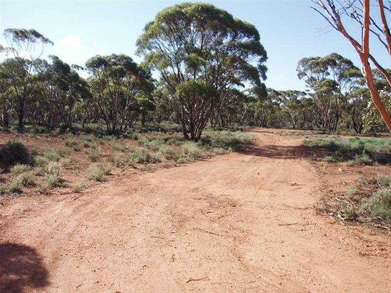 Lot 4 Sturt Highway, Annadale SA 5356