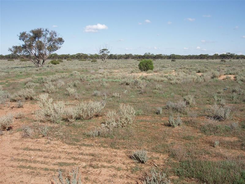 Lot 4 Sturt Highway, Annadale SA 5356