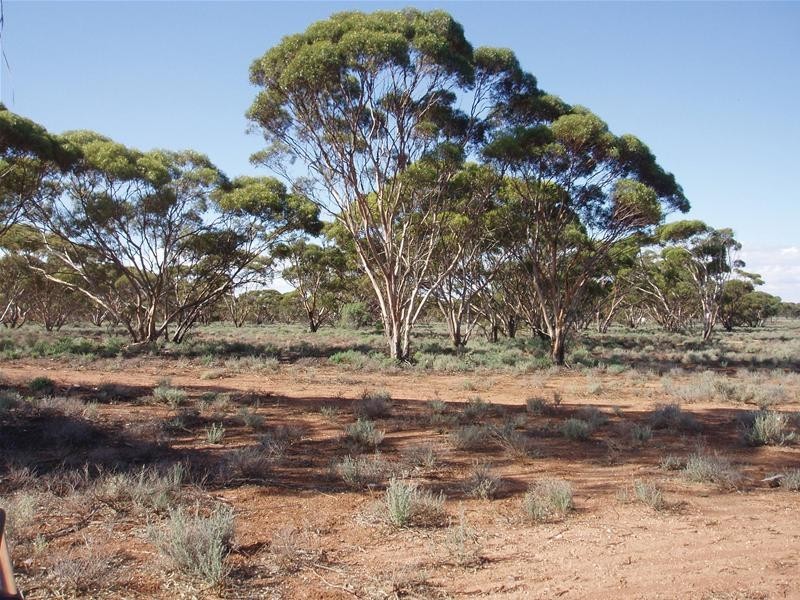 Lot 4 Sturt Highway, Annadale SA 5356