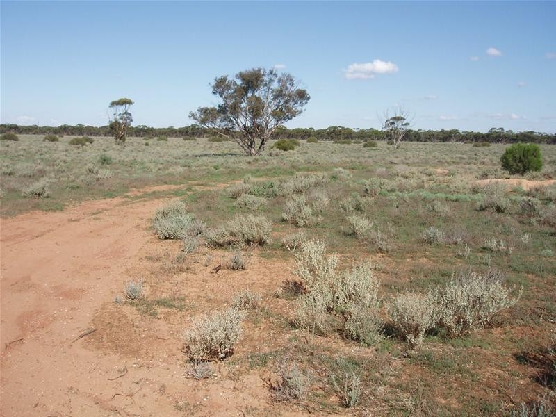 Lot 4 Sturt Highway, Annadale SA 5356