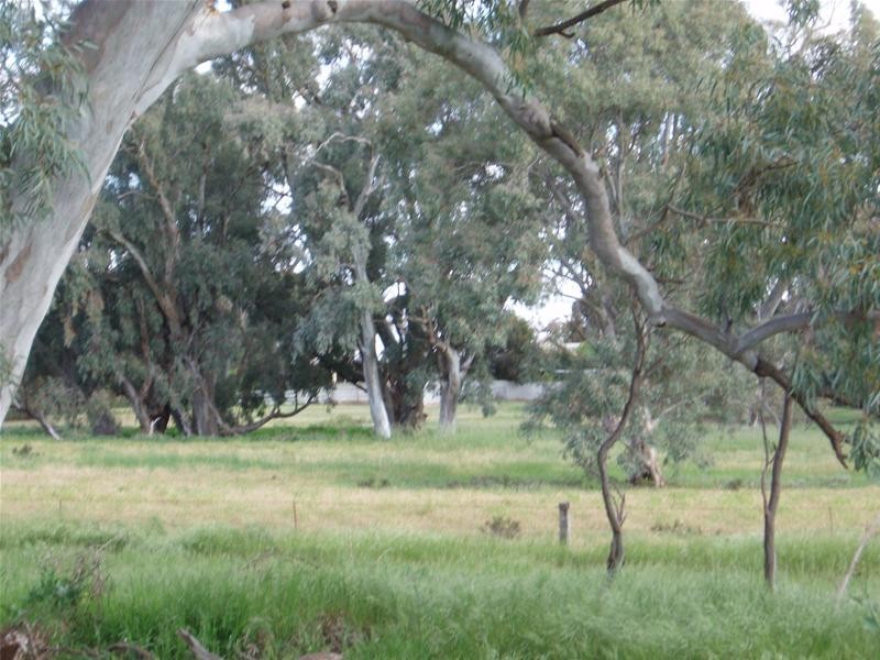 Lot 52 ‘Kongolia’ Black Hill Road, Cambrai SA 5353