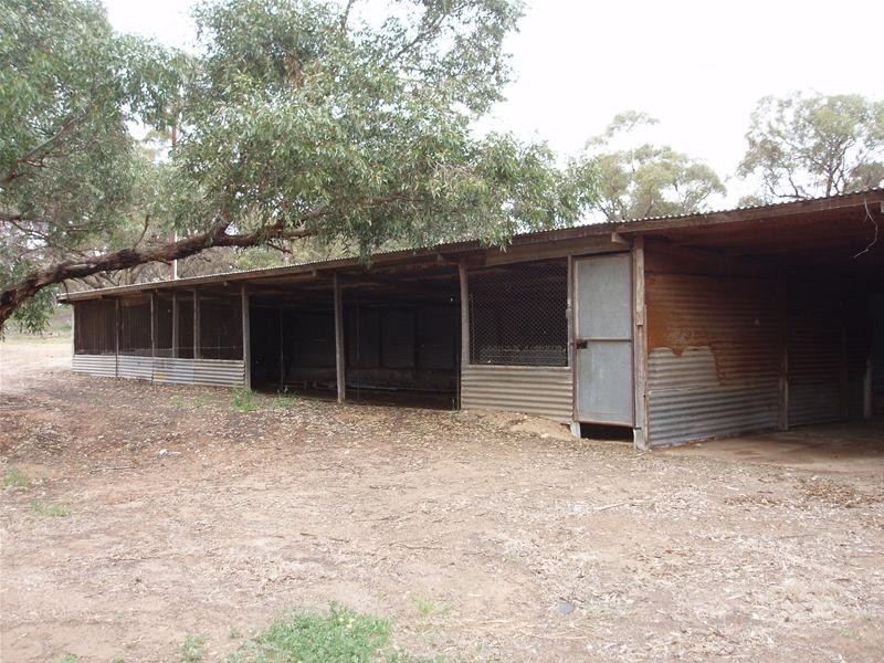 Lot 52 ‘Kongolia’ Black Hill Road, Cambrai SA 5353