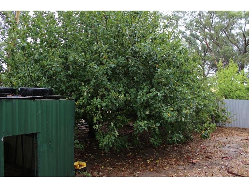 31 Melrose Street, Mount Pleasant SA 5235