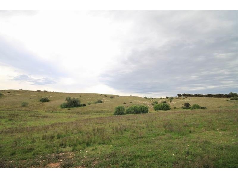 3223 Purnong Road, Purnong SA 5238