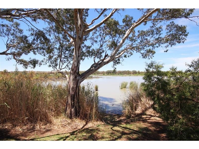 13 Purnong Road, Mannum SA 5238