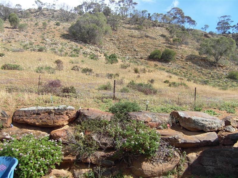 Lot 65 Tom Groggin Drive, Younghusband SA 5238