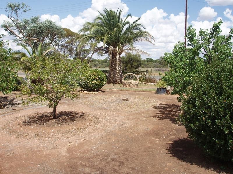 44 Swan Reach Road, Sedan SA 5353