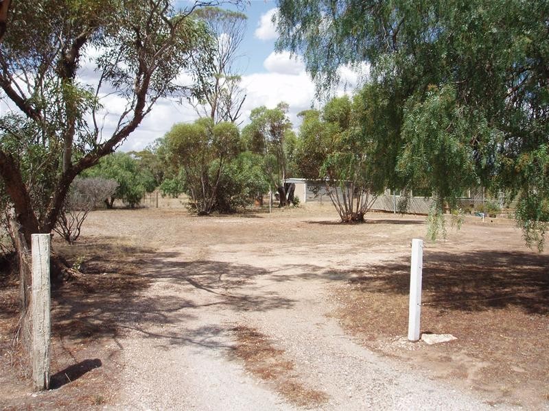 44 Swan Reach Road, Sedan SA 5353