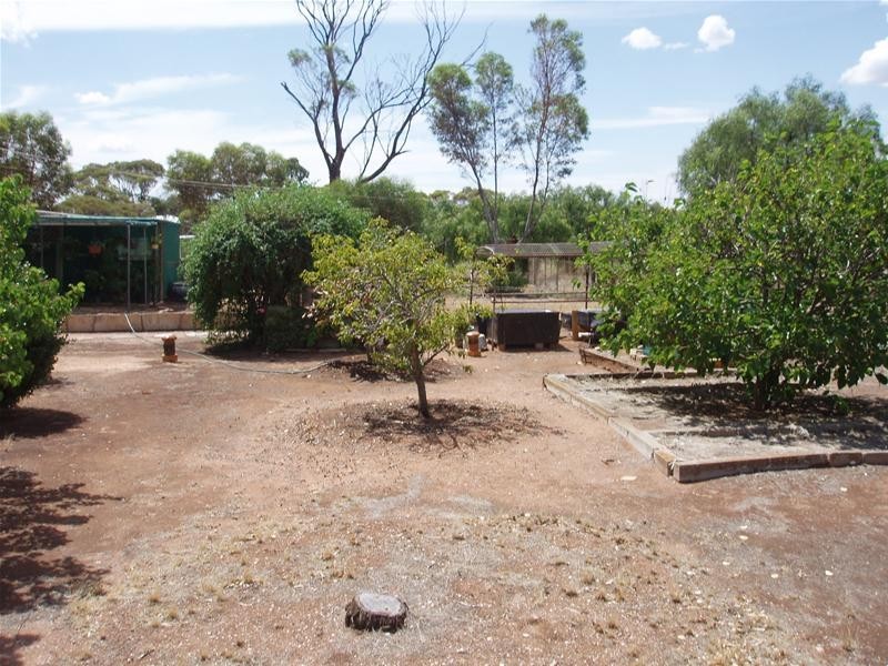 44 Swan Reach Road, Sedan SA 5353