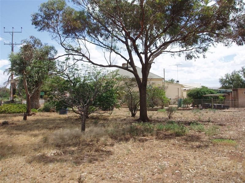 44 Swan Reach Road, Sedan SA 5353