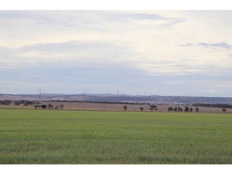 1774 Mannum Road, Pallamana SA 5254