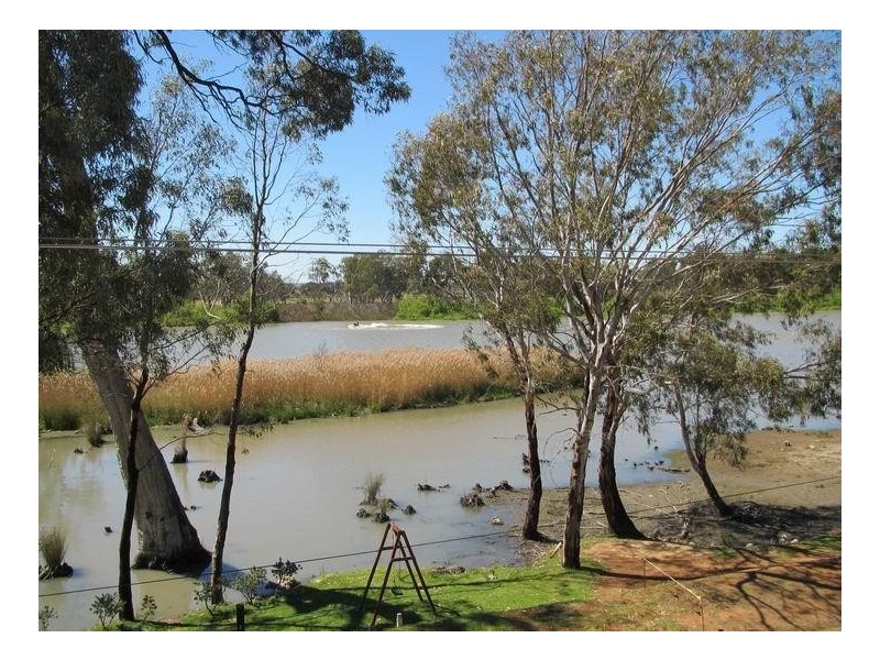 49 Caloote Landing, Caloote via, Mannum SA 5238