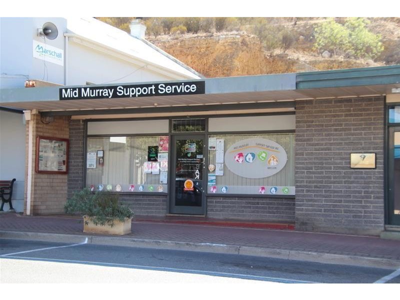 71 Randell Street, Mannum SA 5238