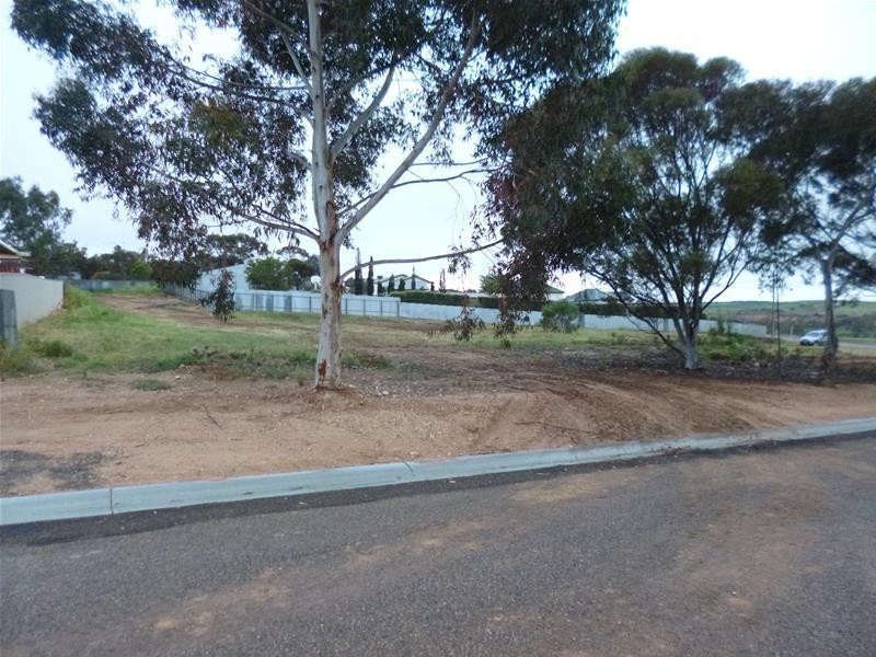43 Esplanade, Mannum SA 5238