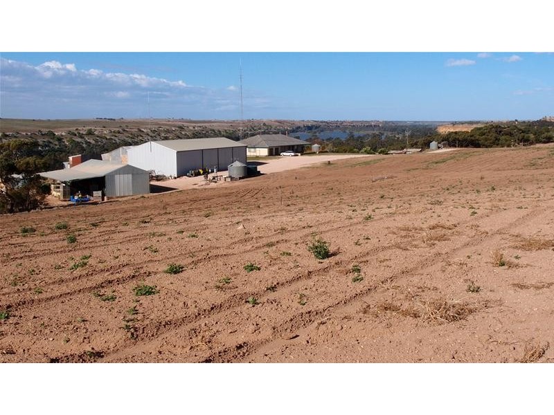 Lot 52 Purnong Road CAURNAMONT via, Mannum SA 5238