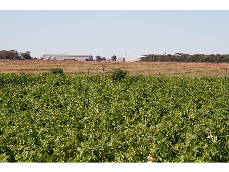 Lot 52 Purnong Road CAURNAMONT via, Mannum SA 5238