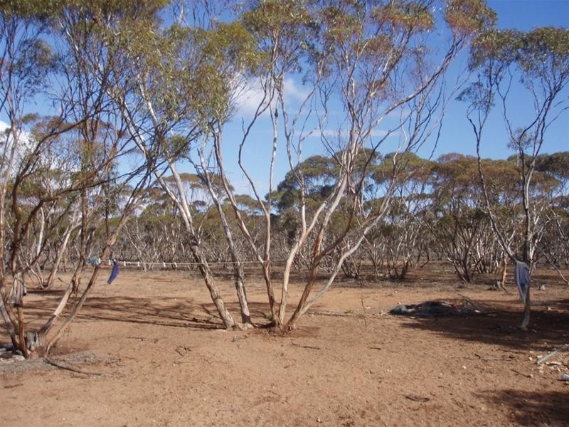 LOT 48 Gaston Road, Swan Reach SA 5354